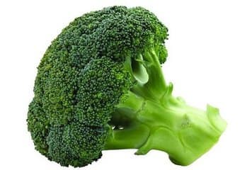 whole sale fresh broccoli in China